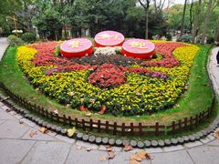 -上海共青森林公园