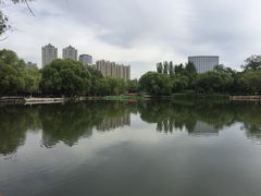 -青城公园