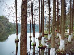 -重庆彩云湖湿地公园