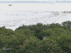 -霞山观海长廊
