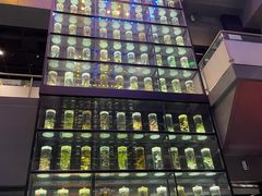 -广东中医药博物馆