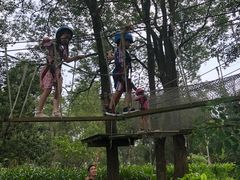 -福建鲤鱼洲酒店