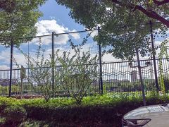 -美再晨游泳馆(新江湾店)