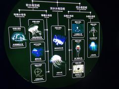 -青岛海底世界-水族馆
