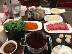 -舌尖记忆重庆火锅(悉尼店)