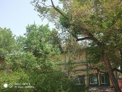 -铁路江上俱乐部