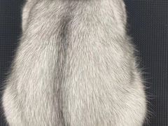 -comecome来吧宠物(奥克斯中心店)