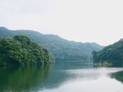 -广州市石门国家森林公园