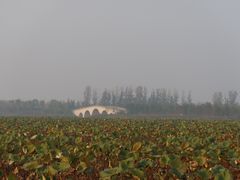 -白洋淀景区