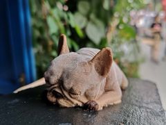 甜品-Sirena海妖日咖夜酒