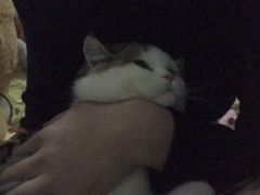 -第三空间·趣味桌游·轰趴.室内CS.剧本杀(大武汉1911店)