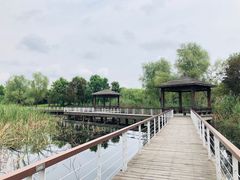 -同里国家湿地公园