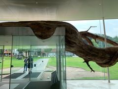 -金泽21世纪美术馆