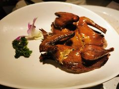 金牌乳鸽-吉旺港式餐厅(南方商城店)