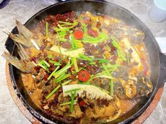 老板恋上鱼-老板恋上鱼(恒隆广场店)