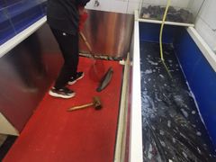 -活鱼馆(宜兴埠店)