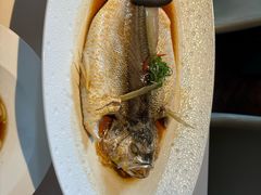 -芙蓉堂(武汉天地店)