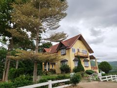 -黄色小屋