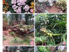 -上海辰山植物园