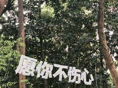 -杭州植物园