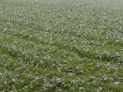 -韶山毛泽东同志故居
