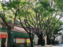 -广东圆玄道观