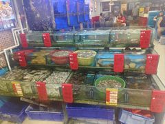 -鑫鸿达·海鲜闽菜热炒小馆(中山路店)