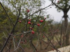 -百翠山居.家飨餐厅
