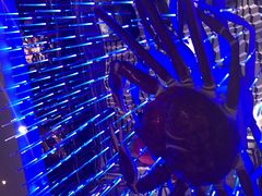 -蟹之国·精品蟹料理(极地店)