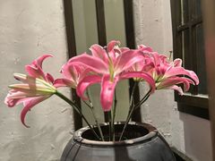 -瓦库茶馆5号(众意路店)