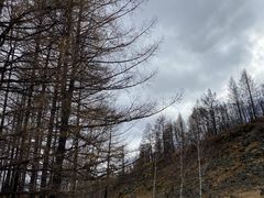 -阿尔山市大兴安岭奥伦布坎景区