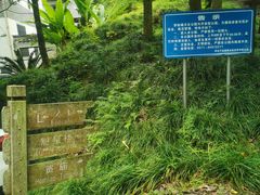 -梦姑塘文化公园