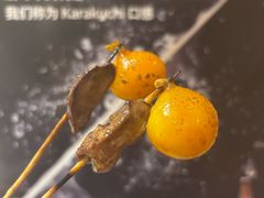 -王氏炉匠·烧鸟放题自助(三里屯店)