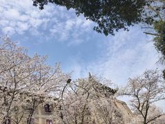 -龟山风景区-龟山电视塔