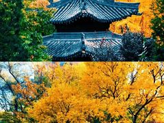 -碑林公园