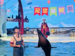 -三亚海昌梦幻海洋不夜城