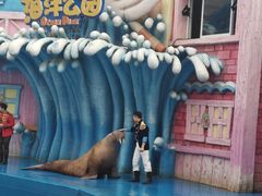 -华夏文旅海洋公园