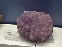 -重庆自然博物馆(新馆)