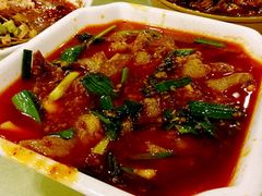 姜汁蹄筋-曾牛肉