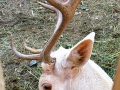 -水上乐园·欢乐世界