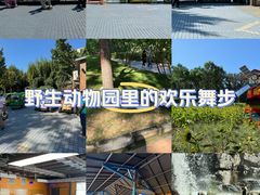 -北京野生动物园