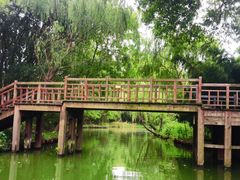 -同里国家湿地公园