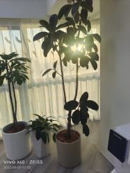 -HEYAN荷妍专业脱毛连锁机构