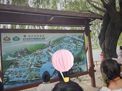 -白洋淀景区