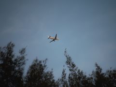 -宝安西湾红树林湿地公园