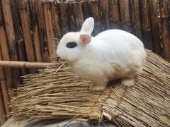 -太极禅苑