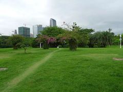 -荔香公园
