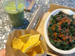 -油梨树AVOCADO TREE(望京店)