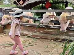 -海南热带野生动植物园