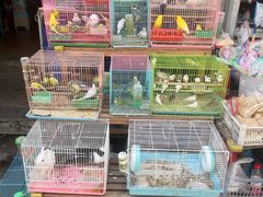 -白纸坊建功北里百姓生活服务中心·佳果多生鲜超市